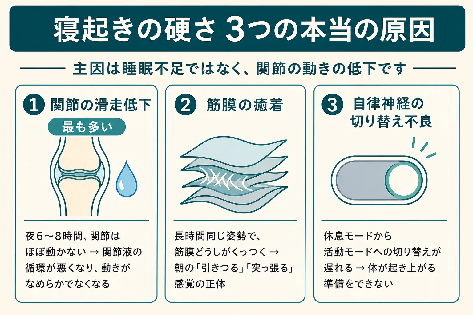 寝起きの硬さ3つの本当の原因の図解:関節の滑走低下(最も多い)・筋膜の癒着・自律神経の切り替え不良