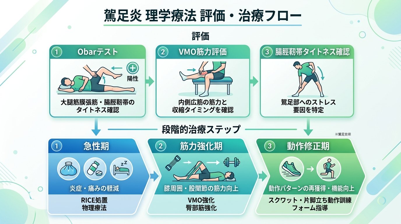 鵞足炎の理学療法評価と治療フロー