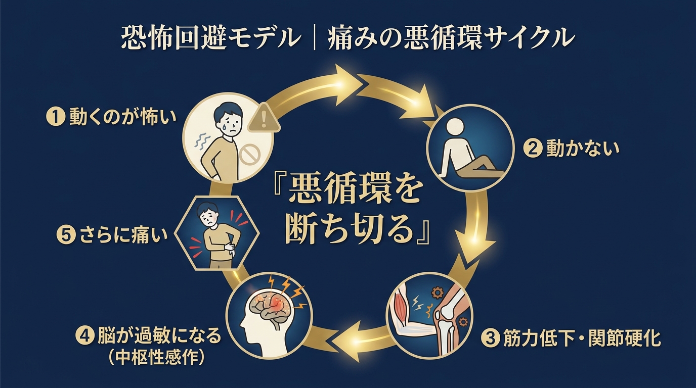 恐怖回避モデル 痛みの悪循環サイクル