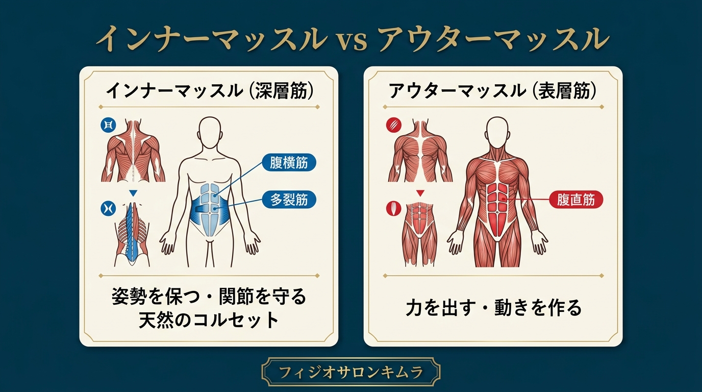 インナーマッスルとアウターマッスルの違い比較図